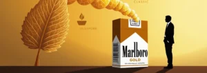 Marlboro gold : c'est quoi ? dcouvrez les diffrences